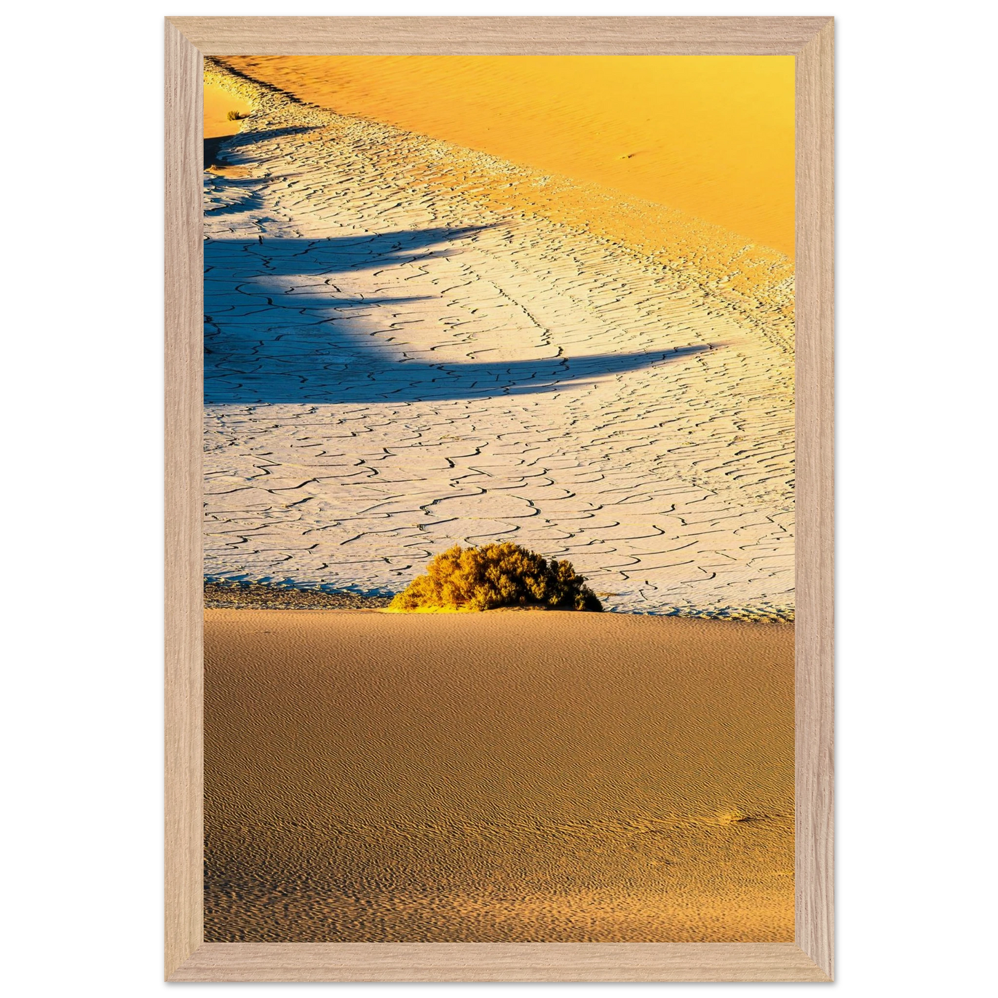 46c41d00-cff5-472c-a4d7-7475a912f83d