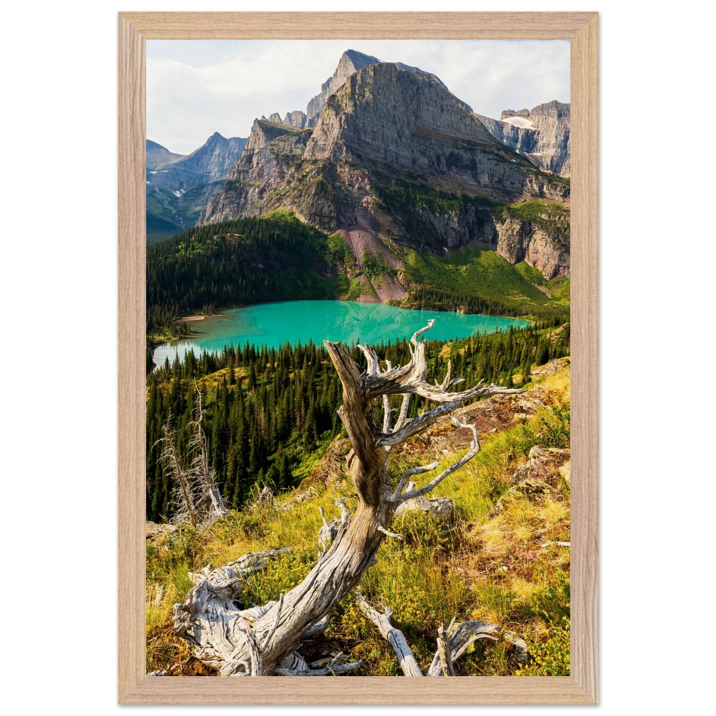 47fbc8c9-8300-4cd4-ba3e-23c4ef4ce0d7