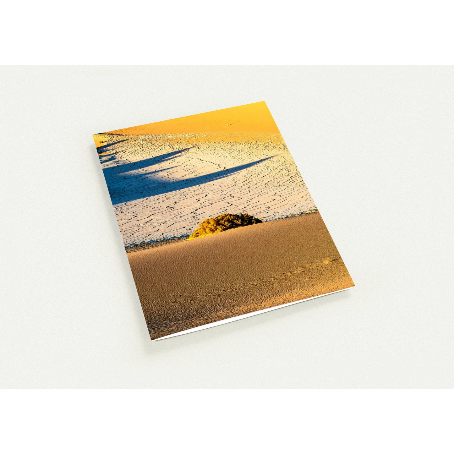 6dcee3e4-746d-4e5e-9774-7a9b003ff1e5