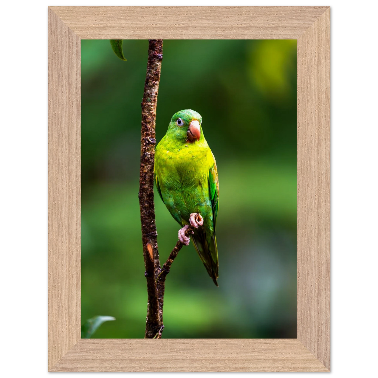 79eb00c4-75a9-4576-9723-5eeb8c547256