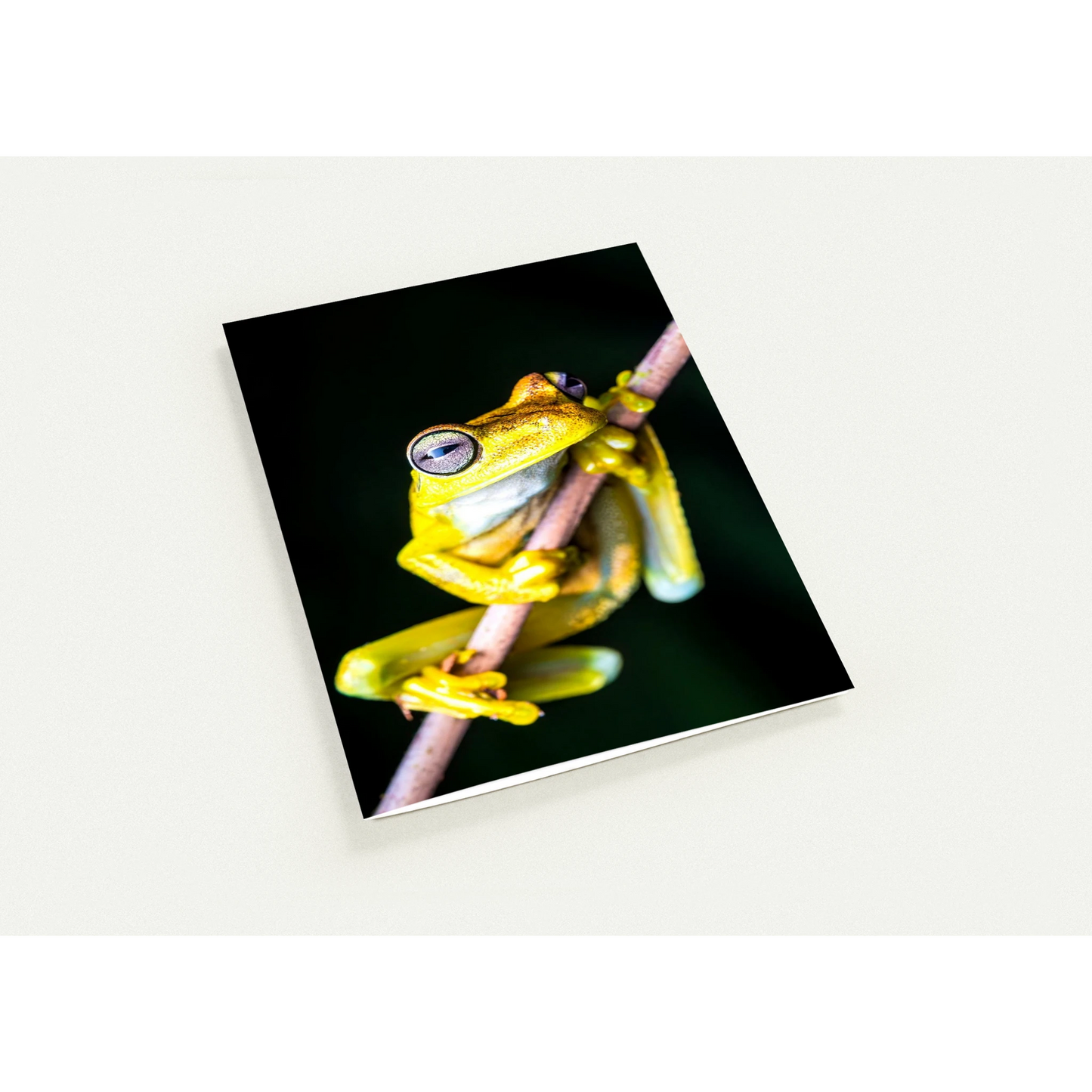 954dda47-2d28-468a-b80d-f981f63a0b23