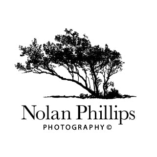 Photography by Nolan