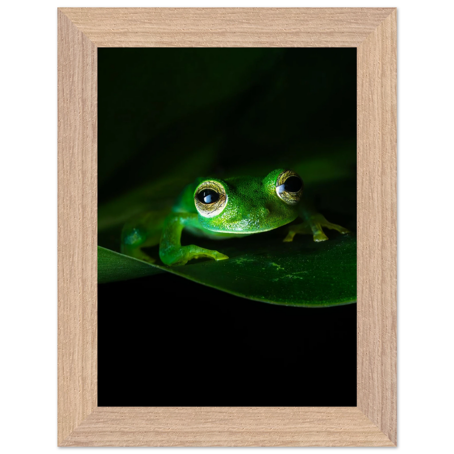 d79be18a-0966-44cc-be44-cfb0dd59d223