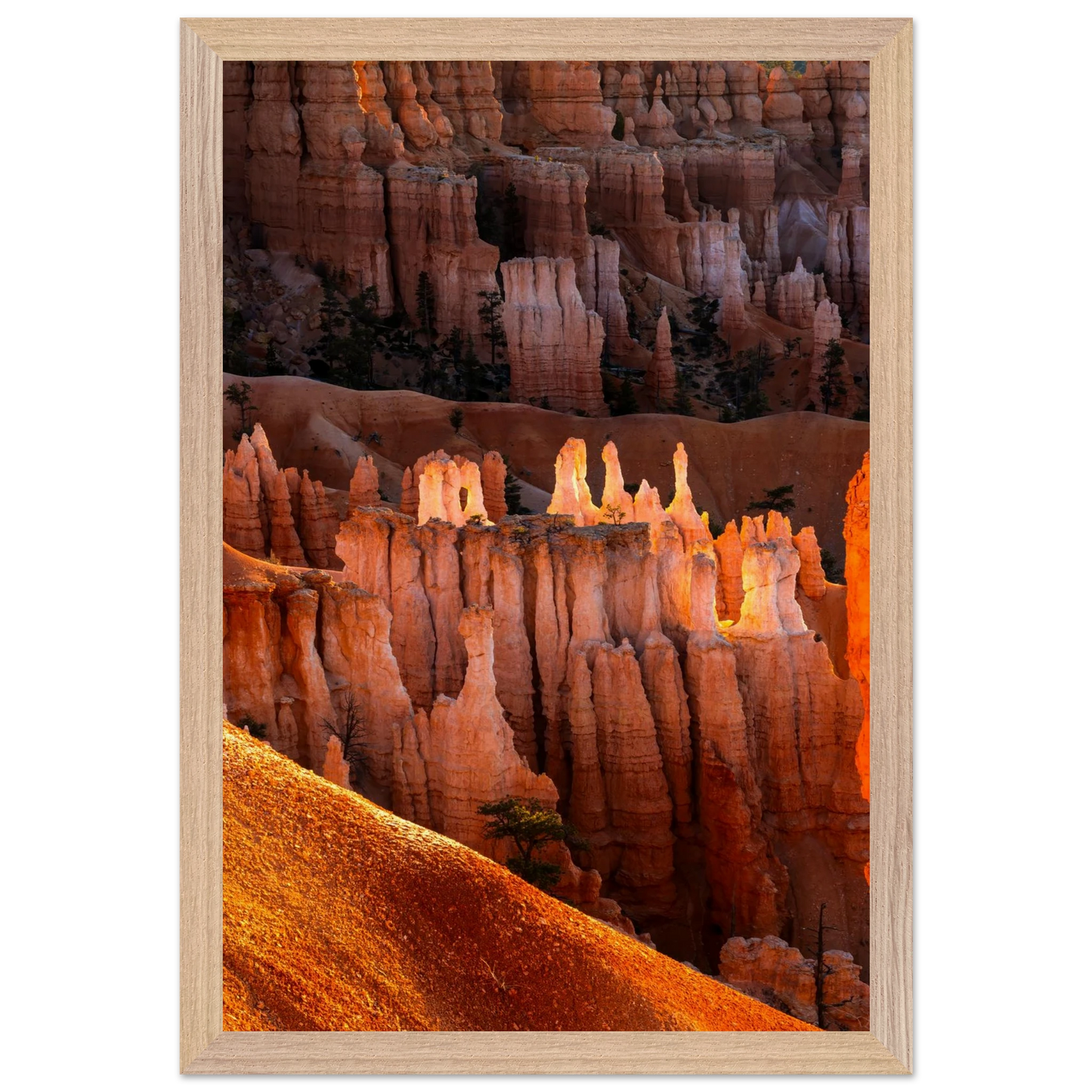 f499d9a2-88ea-4fb8-baee-672d5b03ffed