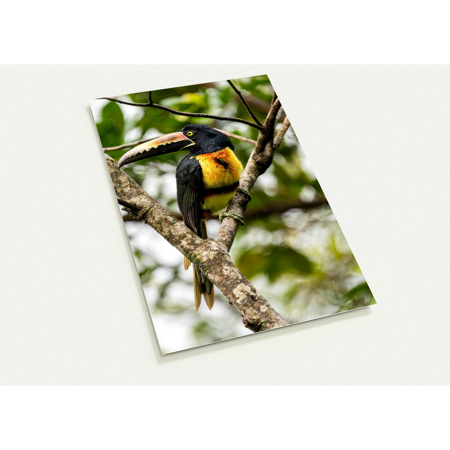 fac47193-c1ba-49ee-af36-908be2ab3218