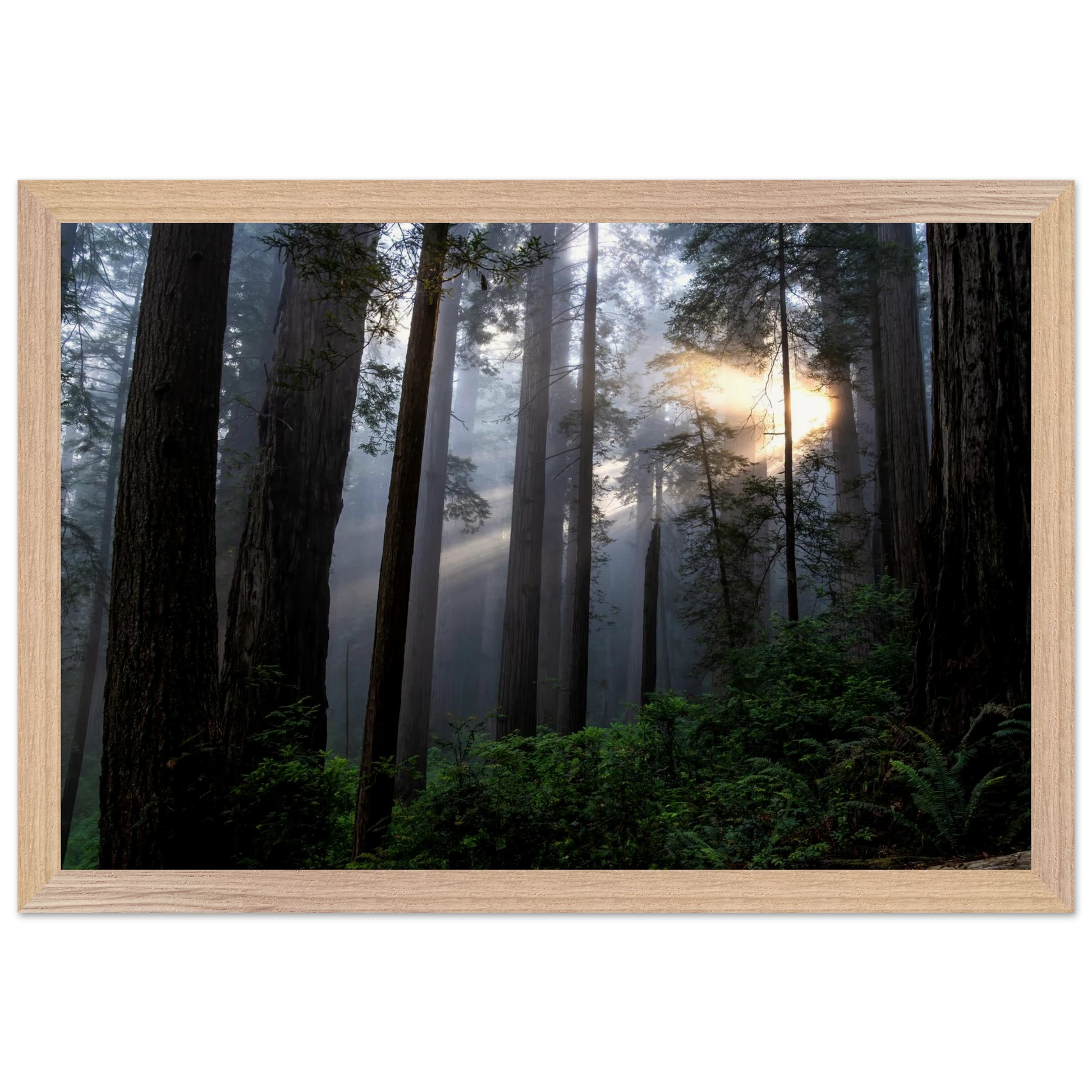 1720952c-d85d-4887-bc01-c65bb180bfcb