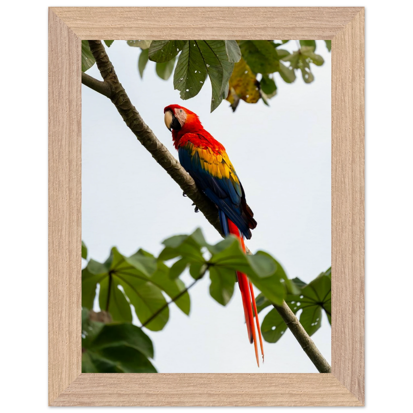 1d7d7055-a191-4a86-a178-397eba777201