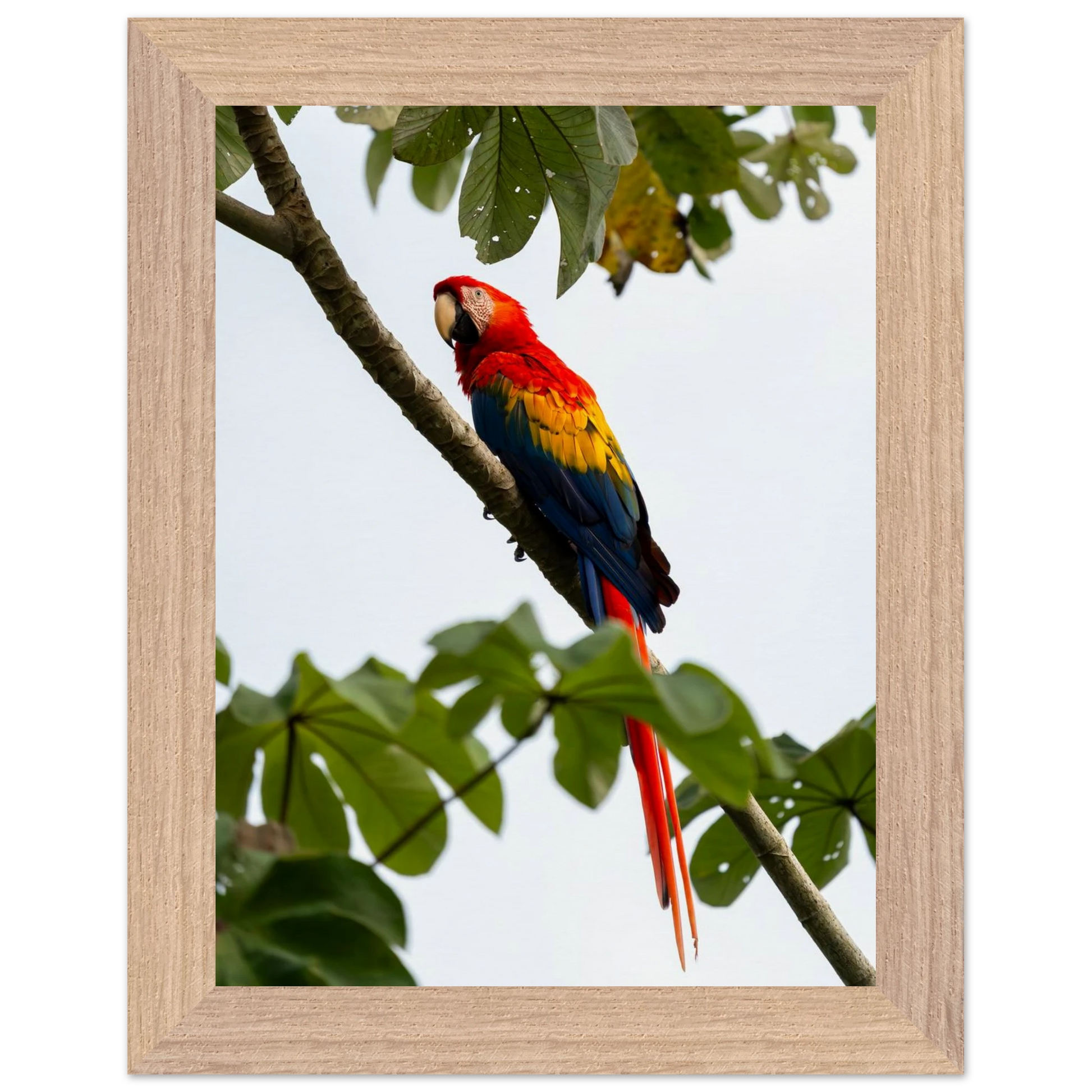 1d7d7055-a191-4a86-a178-397eba777201