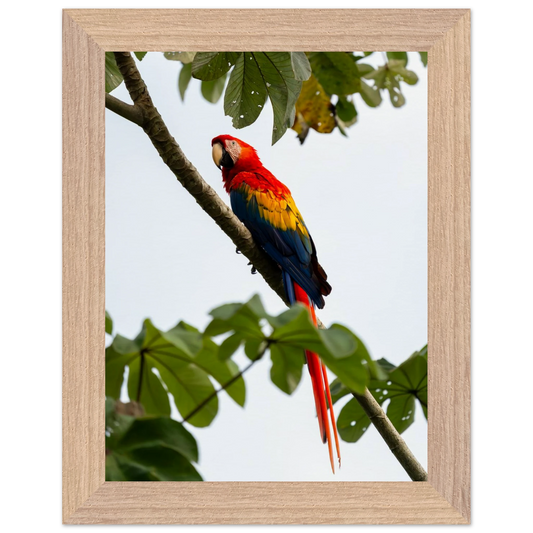 1d7d7055-a191-4a86-a178-397eba777201