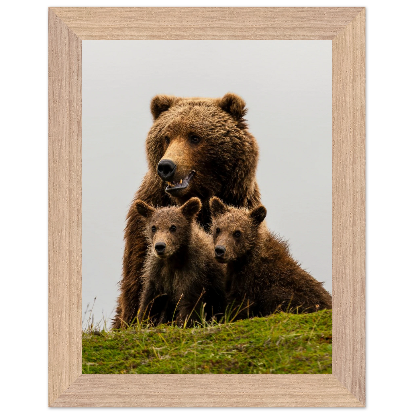 1e891bbb-3d0c-41c1-89a8-e430c14de5e5