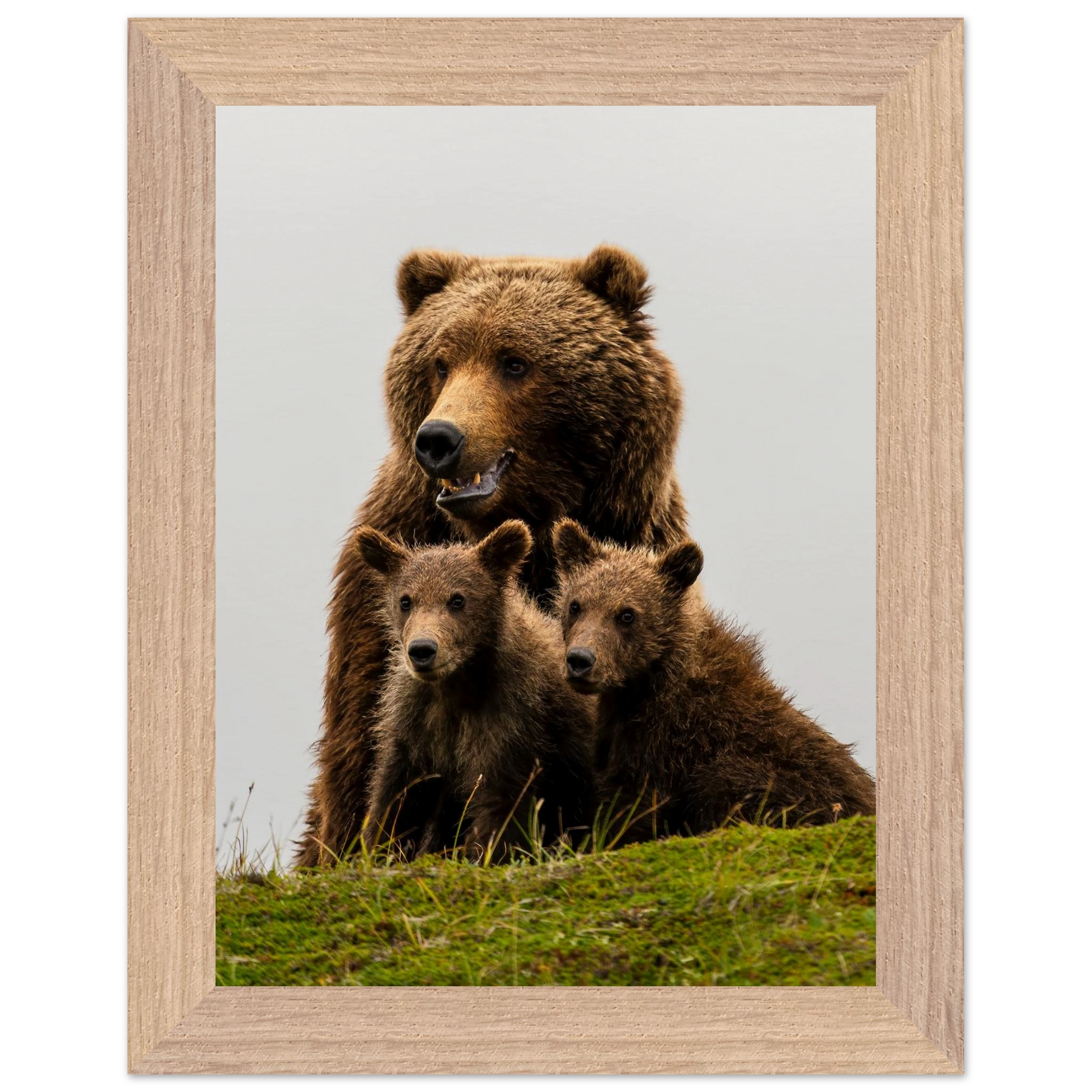 1e891bbb-3d0c-41c1-89a8-e430c14de5e5