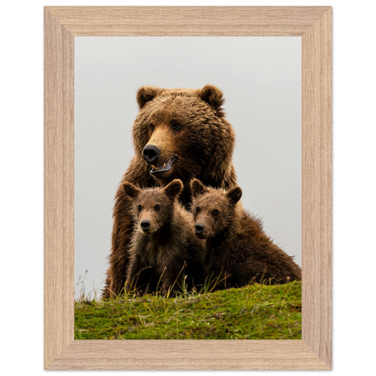 1e891bbb-3d0c-41c1-89a8-e430c14de5e5