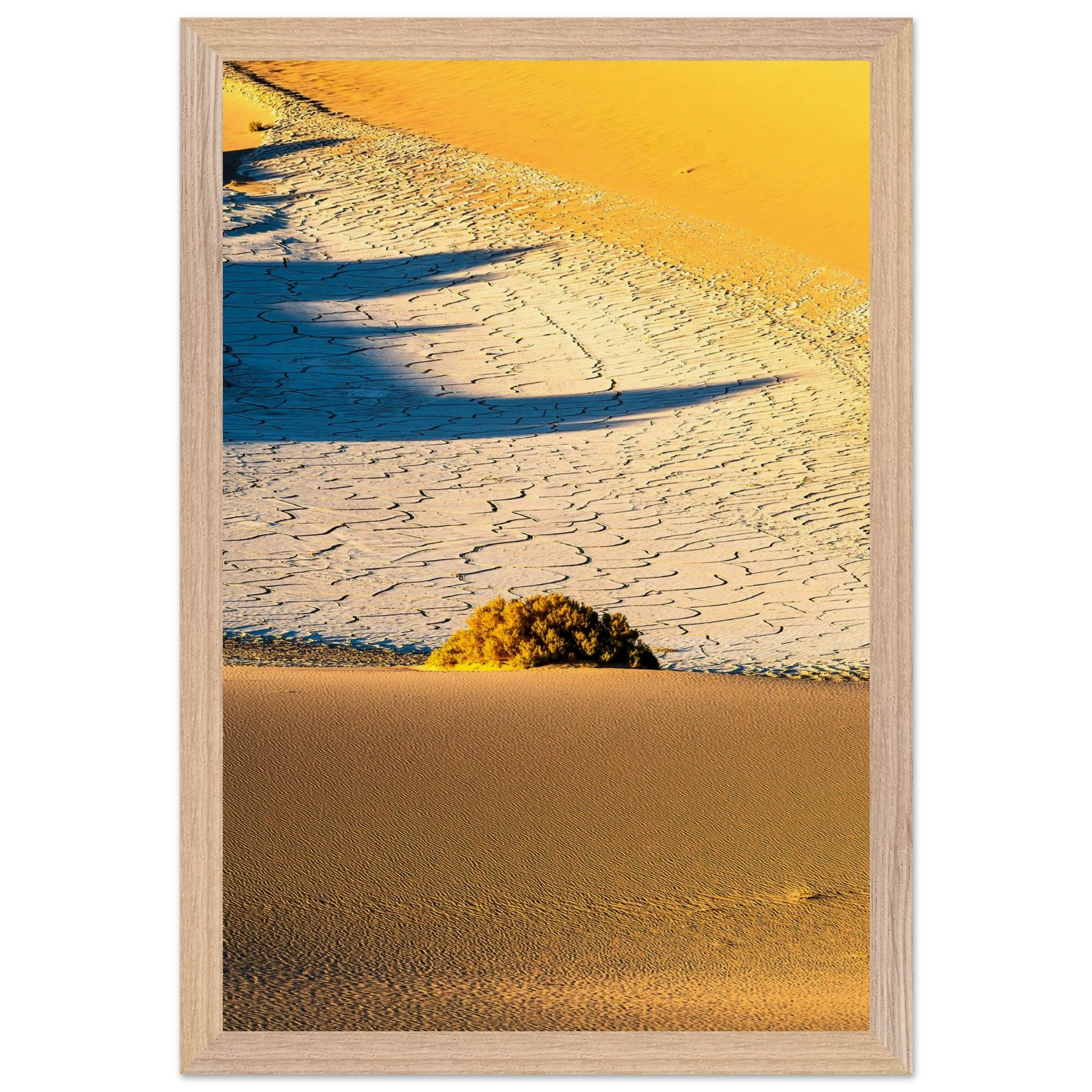 46c41d00-cff5-472c-a4d7-7475a912f83d