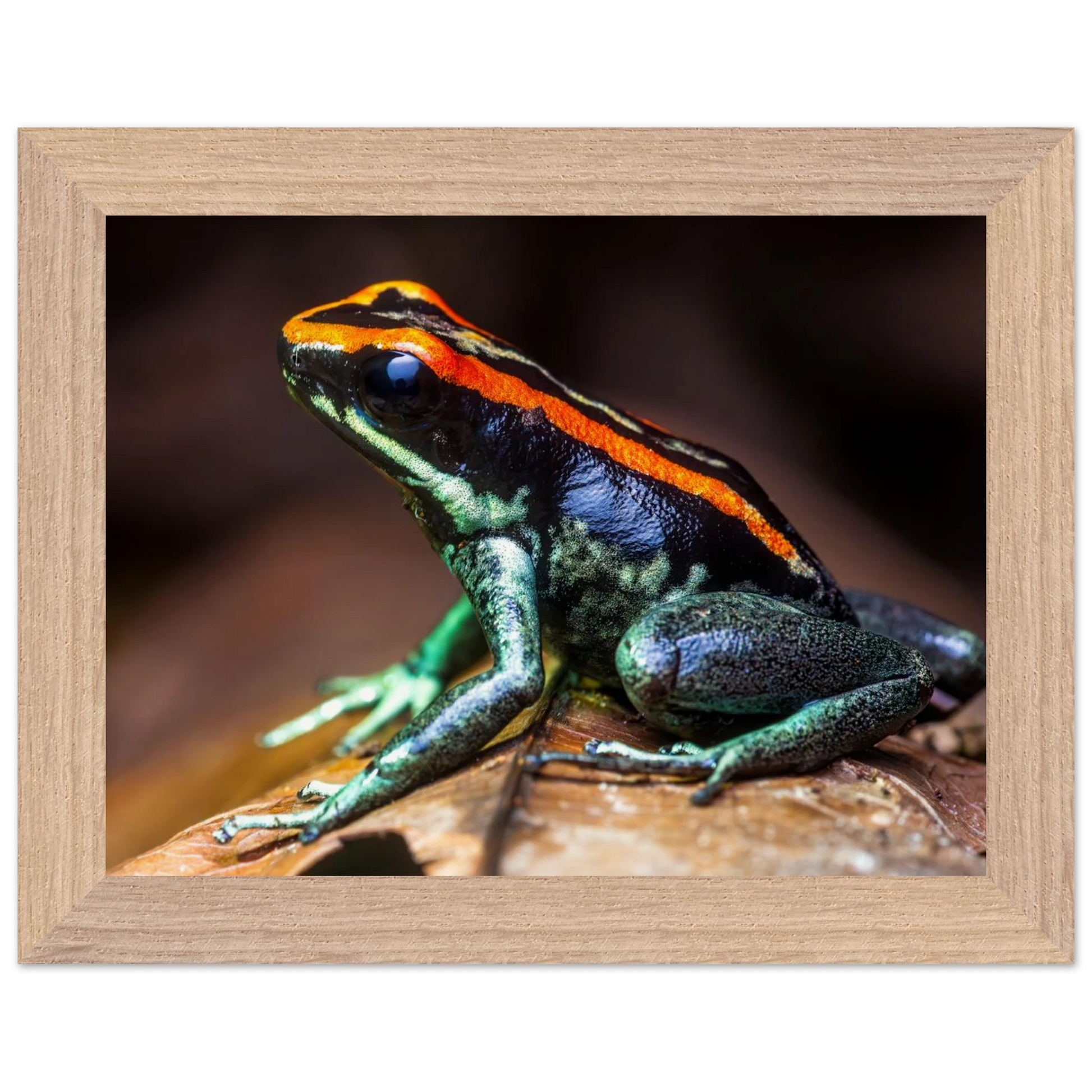 4b7116b0-ac68-445e-9534-2e7bdc994e68