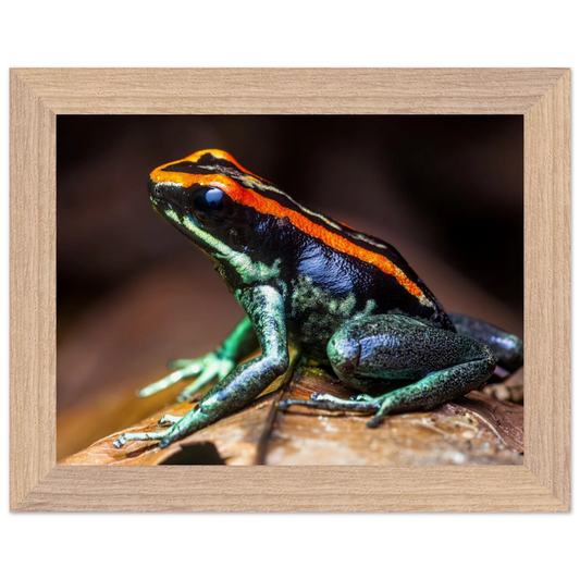 4b7116b0-ac68-445e-9534-2e7bdc994e68