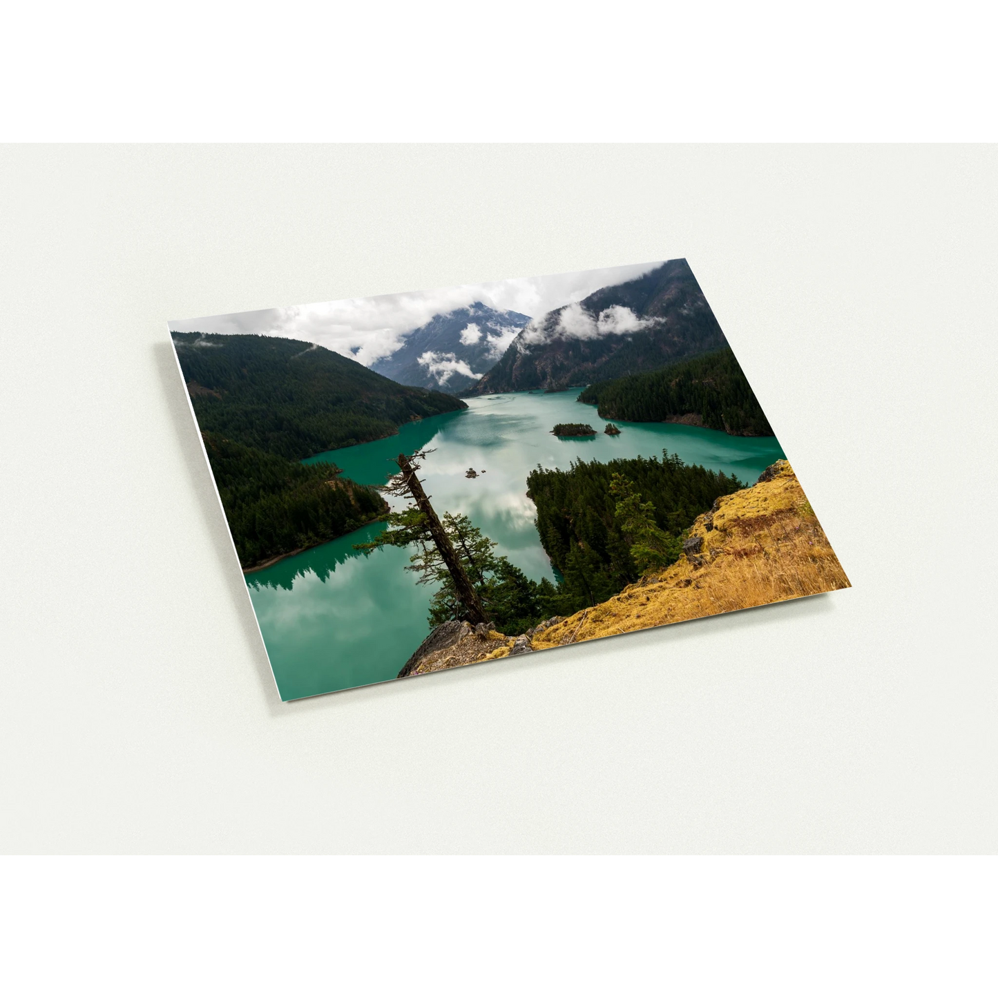 598e162d-75c3-4439-af91-7a2579e4e953