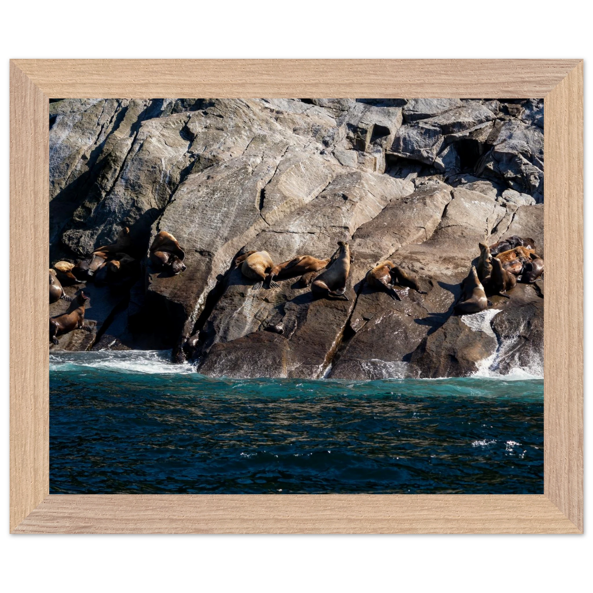 708b23f6-39d7-402d-951f-8e5ffa3bf80f