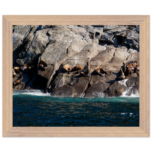 708b23f6-39d7-402d-951f-8e5ffa3bf80f