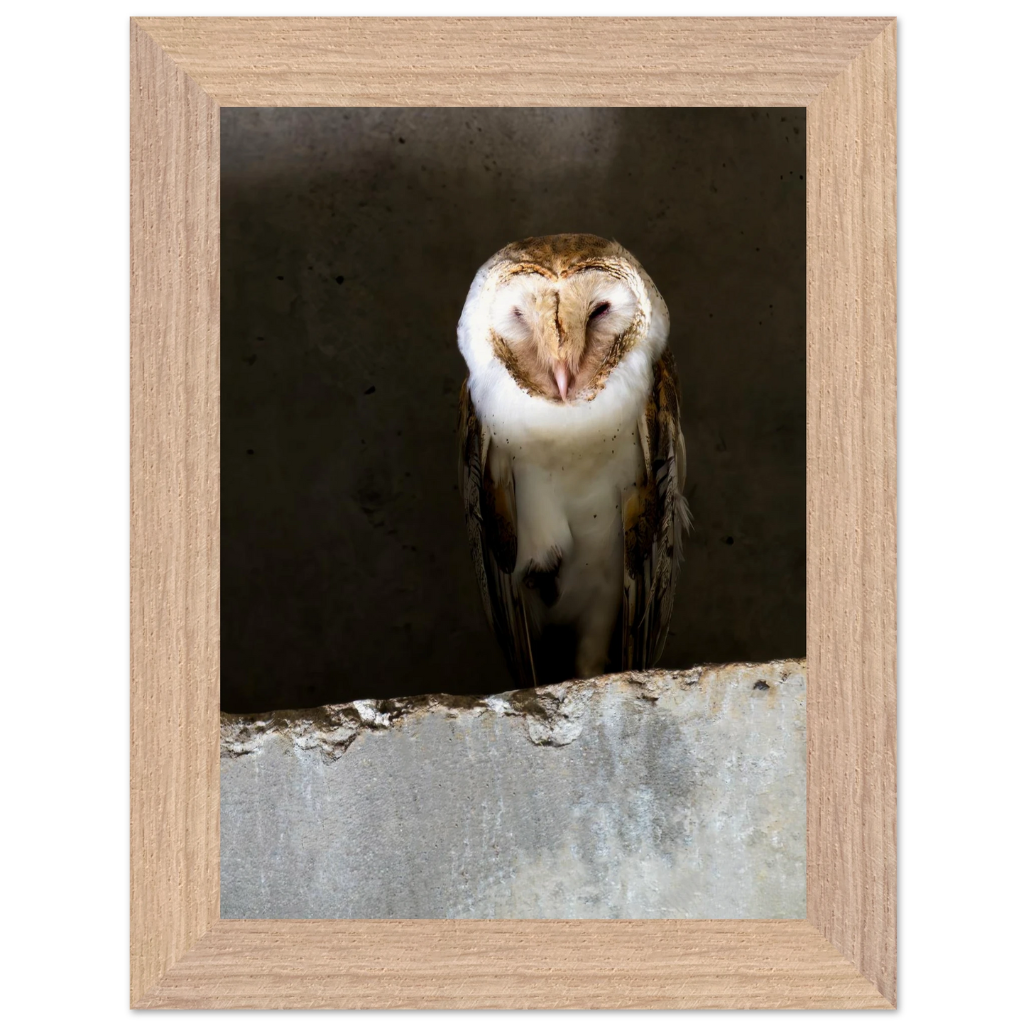 77e4e682-3d73-4d8d-a240-dccc167cf864