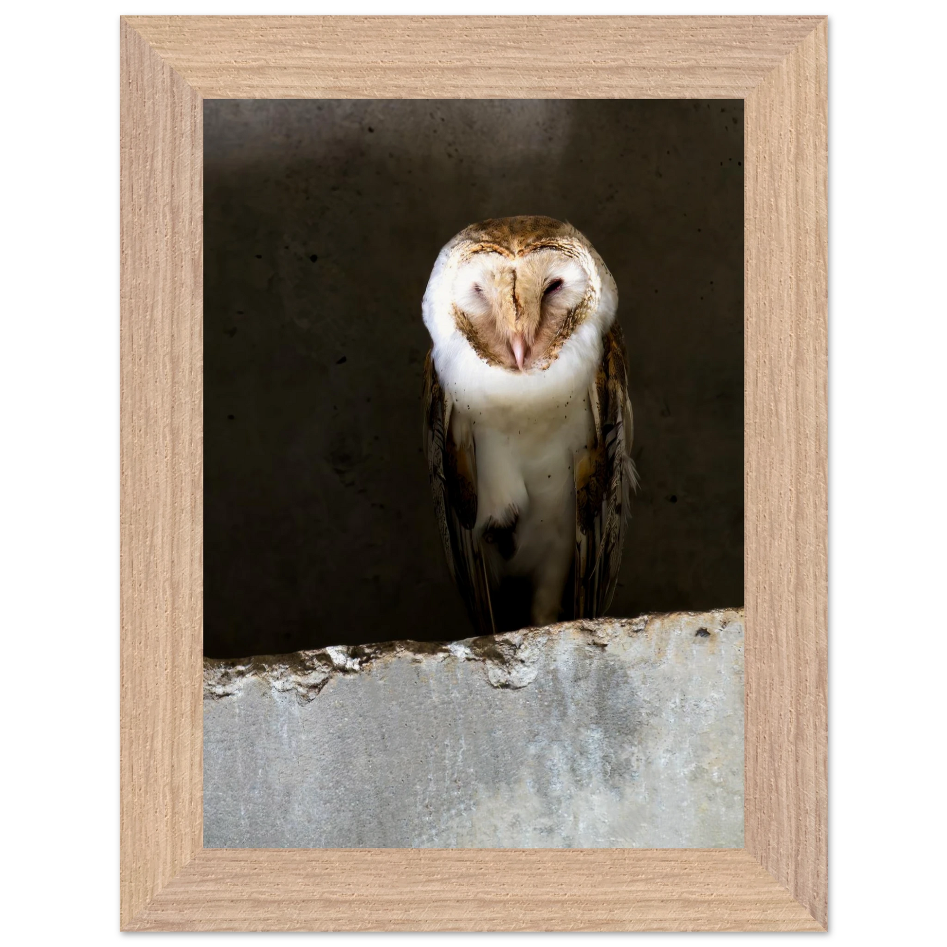 77e4e682-3d73-4d8d-a240-dccc167cf864