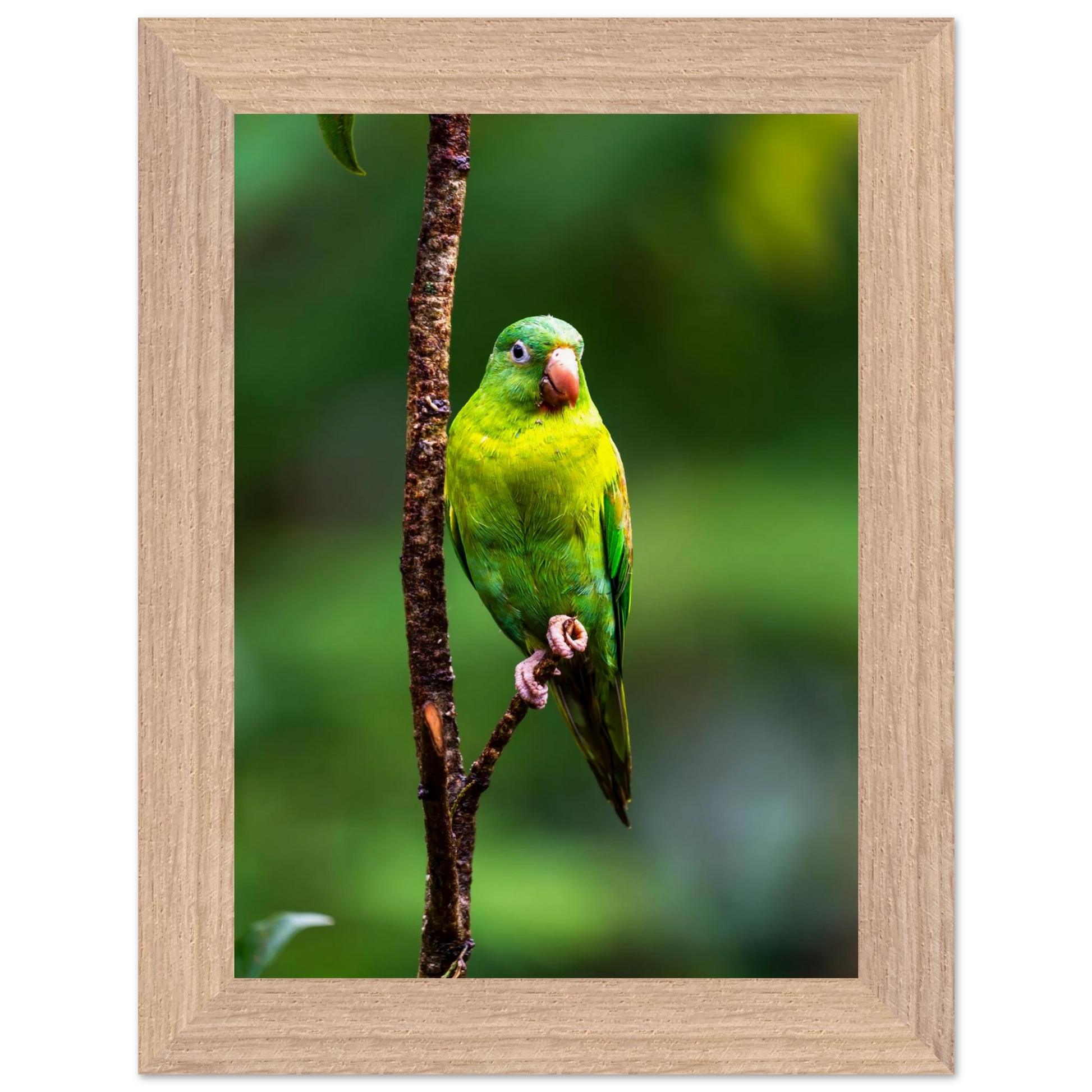 79eb00c4-75a9-4576-9723-5eeb8c547256