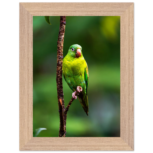 79eb00c4-75a9-4576-9723-5eeb8c547256