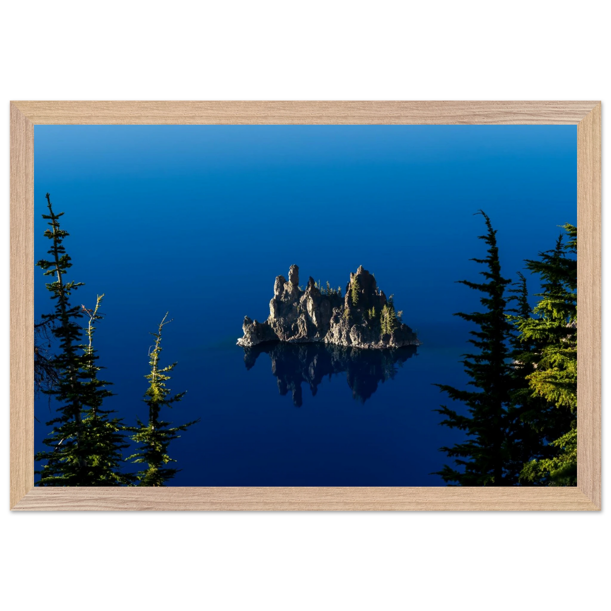 7f1642f9-7a7b-4205-94e6-caa164123649