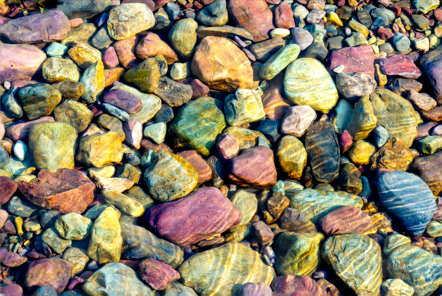 Museum-Quality Matte Paper Poster- "Fruity Pebbles", Lake McDonald, Glacier National Park, Montana, USA 30x45 cm / 12x18″