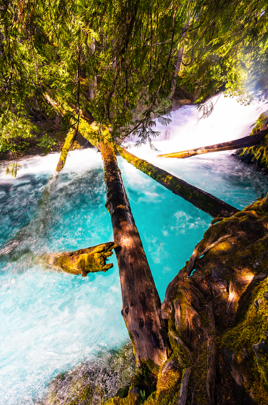 Museum-Quality Matte Paper Poster- "McKenzie River Magic", Willamette National Forest, Oregon, USA 30x45 cm / 12x18″