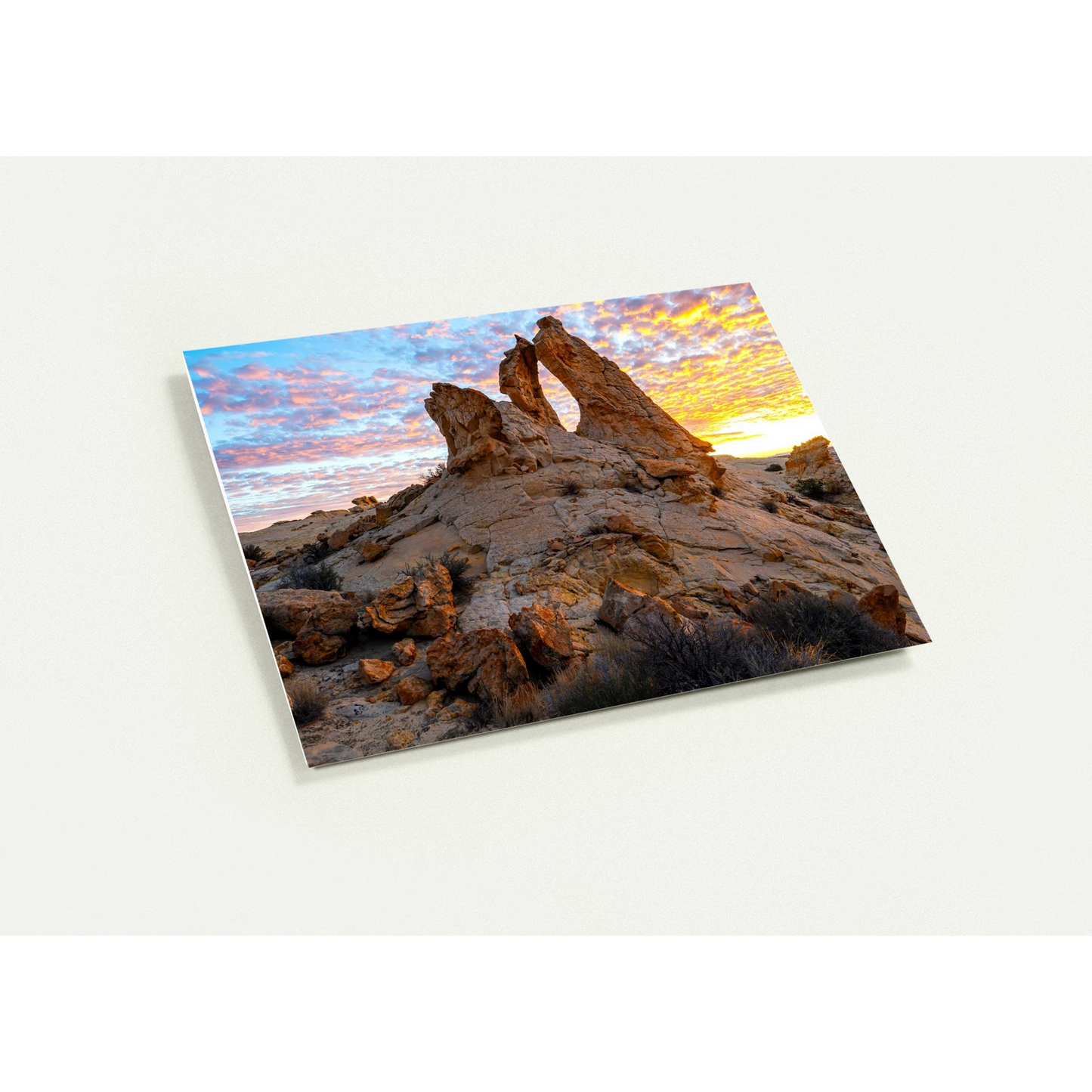 c0bedca8-557b-4d15-8d96-28368d349cd9