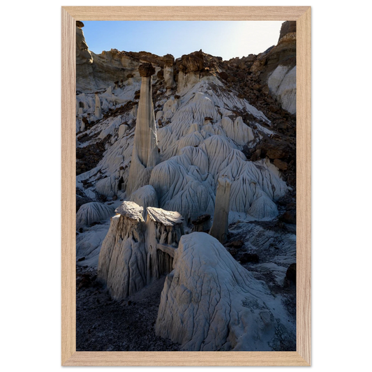 c8579c80-a148-4b3a-af42-ad1981be238d