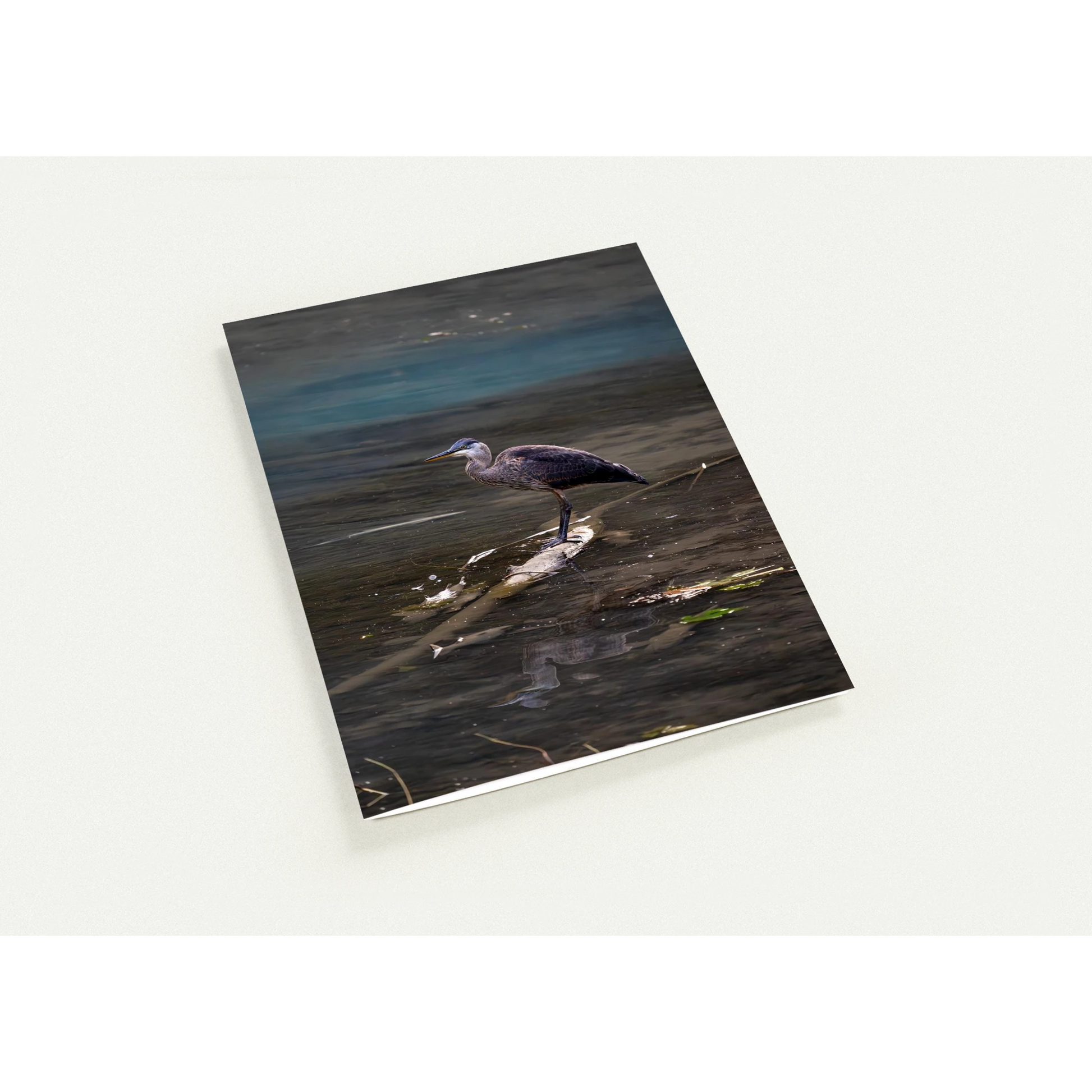 d288099c-9941-4a52-a234-10e0674e65cf