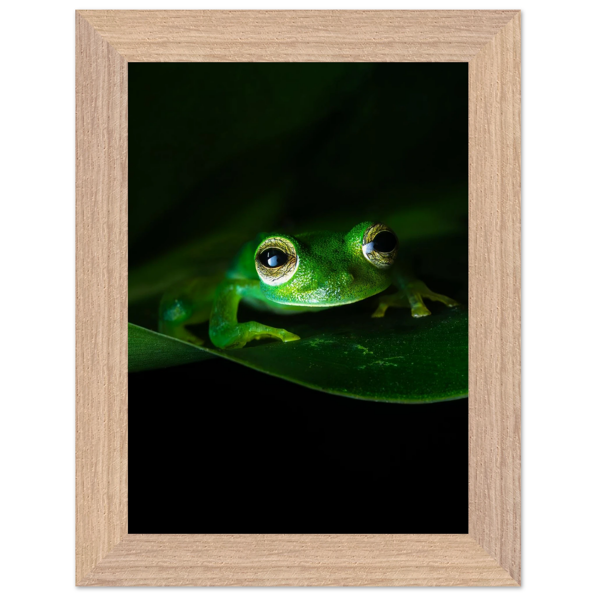 d79be18a-0966-44cc-be44-cfb0dd59d223