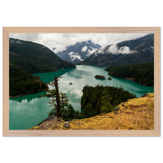 d9992b24-7686-43d1-b757-e36bd4cf87c4