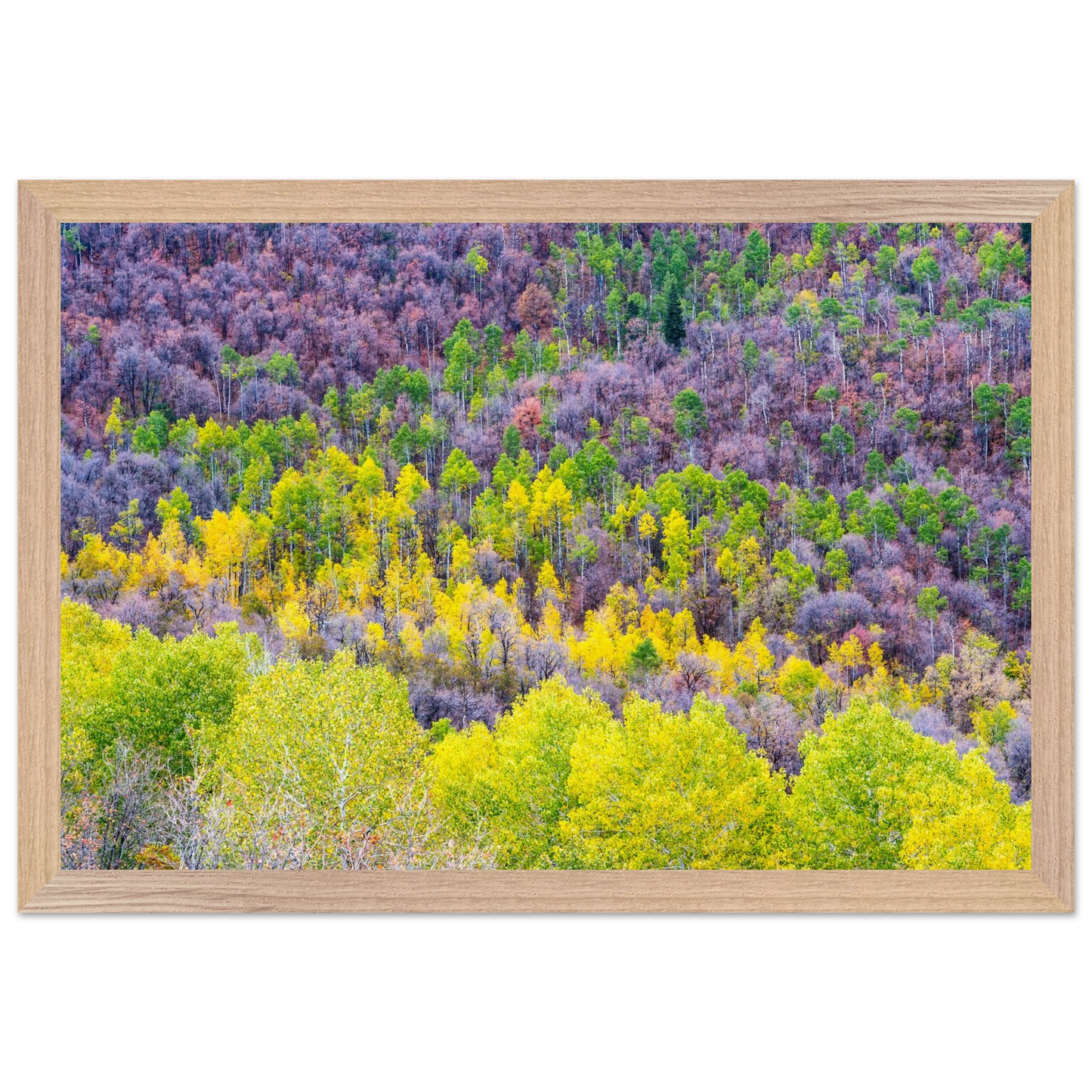 e34d123e-eaf2-4326-bd50-4e37a488939c