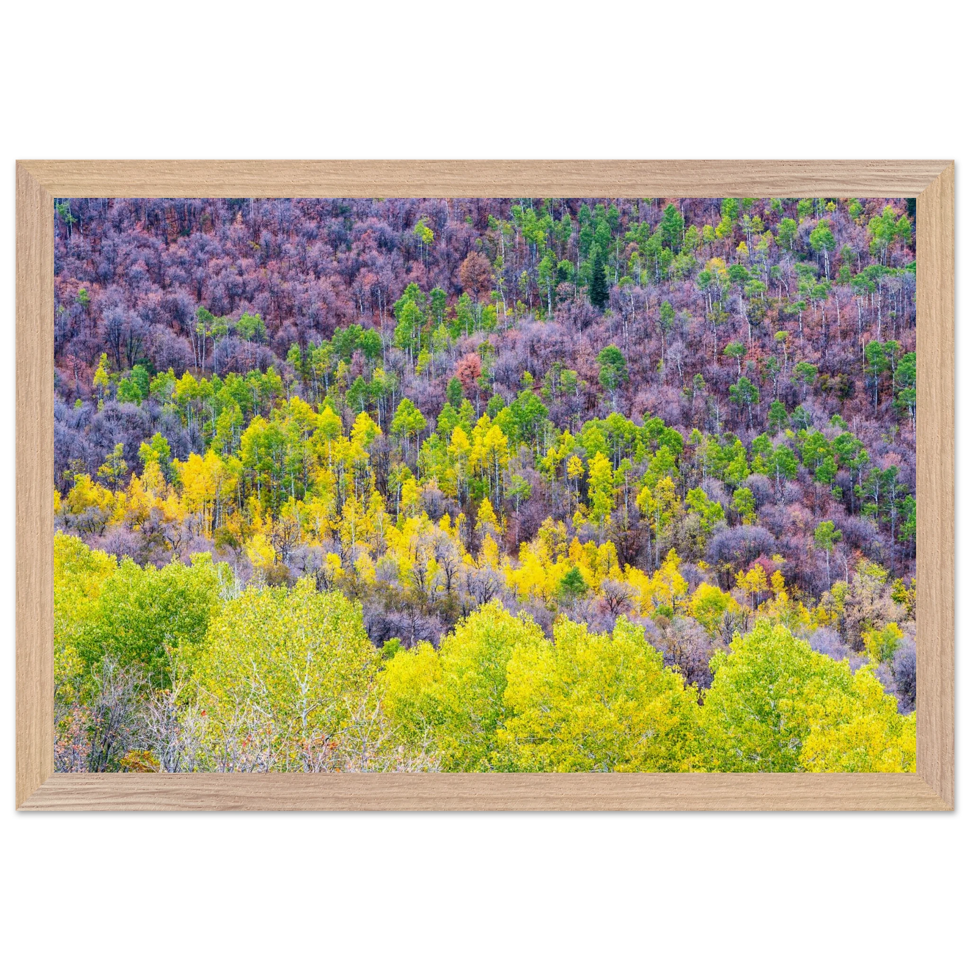 e34d123e-eaf2-4326-bd50-4e37a488939c