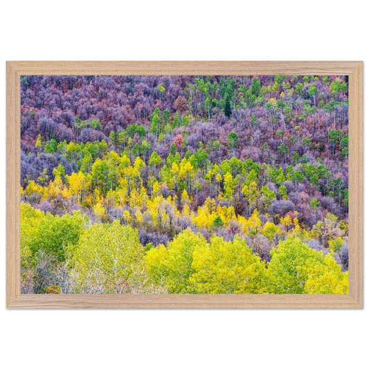 e34d123e-eaf2-4326-bd50-4e37a488939c