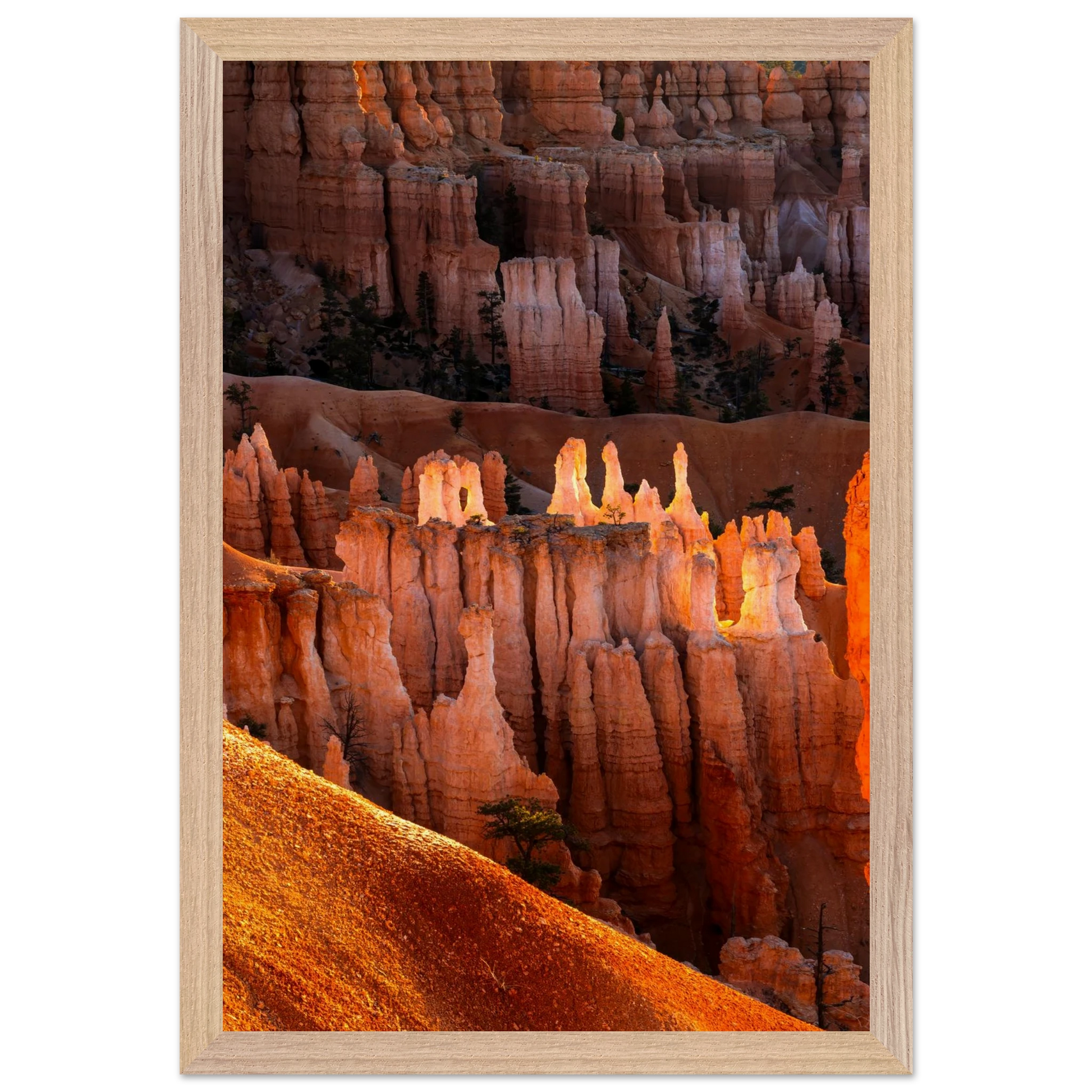 f499d9a2-88ea-4fb8-baee-672d5b03ffed