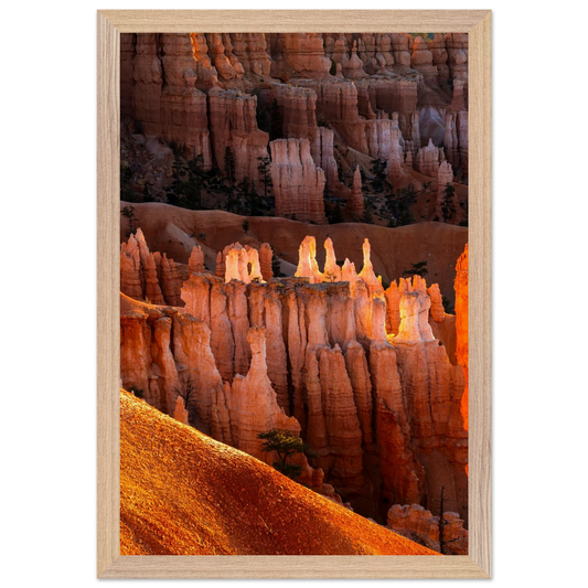 f499d9a2-88ea-4fb8-baee-672d5b03ffed