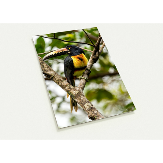 fac47193-c1ba-49ee-af36-908be2ab3218