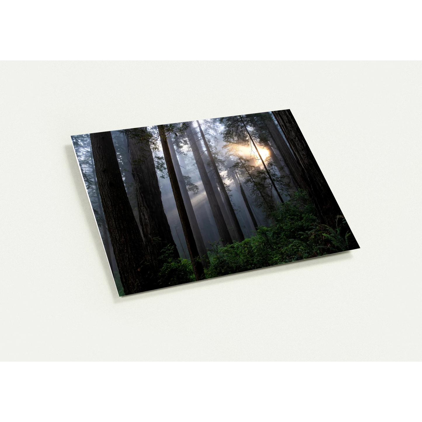 fc7fd34b-409e-40e2-82d0-589c7c304f40