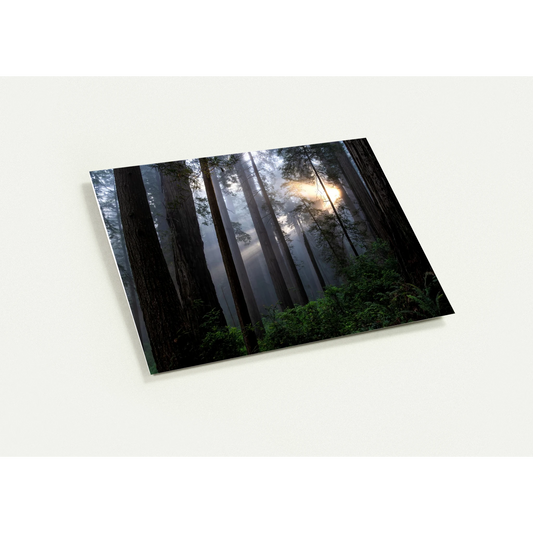 fc7fd34b-409e-40e2-82d0-589c7c304f40